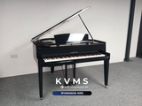  Piano Hybrid Yamaha AvantGrand N3X 