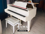  Grand Piano Yamaha G3 