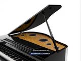  Piano Yamaha CLP 895 GP | CLP-800 series | Piano điện mới 2024 