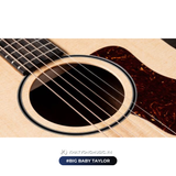  Guitar Acoustic Big Baby Taylor 