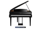  Piano Yamaha CLP 895 GP | CLP-800 series | Piano điện mới 2024 
