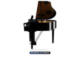  Piano Yamaha CLP 895 GP | CLP-800 series | Piano điện mới 2024 