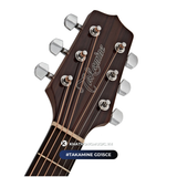  Guitar Takamine GD15CE| đàn Guitar Acoustic New 