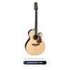  Đàn Guitar Acoustic Takamine P7NC New 