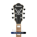  Đàn guitar điện Ibanez AS73FM TIF 