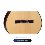  Guitar Takamine TH90 
