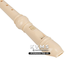  Sáo Recorder Yamaha Soprano YRS23 | YRS-23 