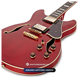  Đàn Guitar điện Ibanez Artcore AS93FM Expressionist 