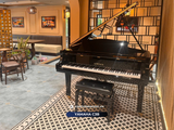  Grand Piano Yamaha C3B 