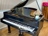  Grand Piano Yamaha G2 PE 