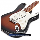  Đàn guitar điện Fender Player Strat PF SSS 3TS 