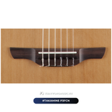  Guitar Takamine P3FCN 