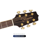  Guitar Takamine GD51CE | đàn Guitar Acoustic New 