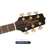  Guitar Takamine GD51CE| đàn Guitar Acoustic New 