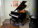  Grand piano Wurlitzer C173 | Baby Grand cao cấp 