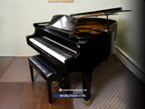  Grand piano Wurlitzer C173 | Baby Grand cao cấp 