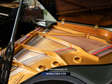  Grand piano Wurlitzer C173 | Baby Grand cao cấp 