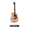  Guitar Taylor 214CE | Đàn Guitar Acoustic chính hãng 