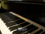  Grand piano Wurlitzer C173 | Baby Grand cao cấp 