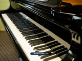  Grand piano Wurlitzer C173 | Baby Grand cao cấp 