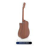  Đàn Guitar Acoustic Taylor 310 CE 