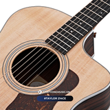  Guitar Taylor 214CE | Đàn Guitar Acoustic chính hãng 