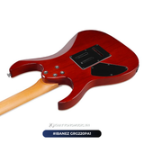  Đàn Guitar điện Ibanez GRG220PA1 