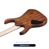  Đàn Guitar điện Ibanez RG421 