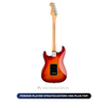  Đàn Guitar điện FENDER PLAYER STRATOCASTER® HSS PLUS TOP 