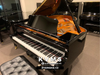  Grand Piano Yamaha C2 