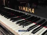  Grand Piano Yamaha No 20 PE - Đen bóng 