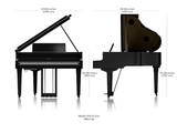  Piano digital Roland GP9M | Baby Grand Piano | New 2024 