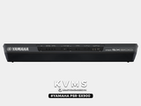  Đàn Organ Yamaha PSR SX900 | Organ giá ưu đãi đặc biệt 
