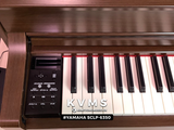  Piano Digital YAMAHA SCLP 6350 