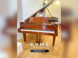  Grand Piano Yamaha G5 