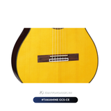  Guitar Takamine GC5-CE 