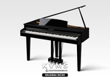  Piano Digital KAWAI DG30 