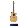  Đàn Guitar Acoustic Takamine P3NC New 