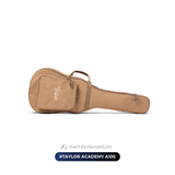  Đàn Guitar Acoustic Taylor Academy A10E 
