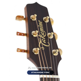  Đàn Guitar Acoustic Takamine P3NC New 