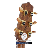  Đàn Guitar Acoustic Takamine P3NC New 