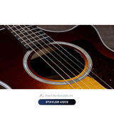  Đàn Guitar Acoustic Taylor 412CE 