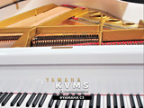  Grand Piano Yamaha C3 | Series cao 