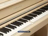  Piano Yamaha SCLP 8350 | Phiên bản nội địa Nhật 2024 