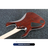  Đàn Guitar điện Ibanez RGA42FM 
