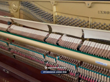  Piano Upright YAMAHA UX50Rw 