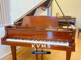  Grand Piano Yamaha G5 