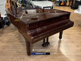  Grand Piano Yamaha C3 | Series cao 