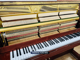  Piano Upright YAMAHA YU10 MhC 