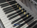  Grand Piano Yamaha C3 | Series cao 